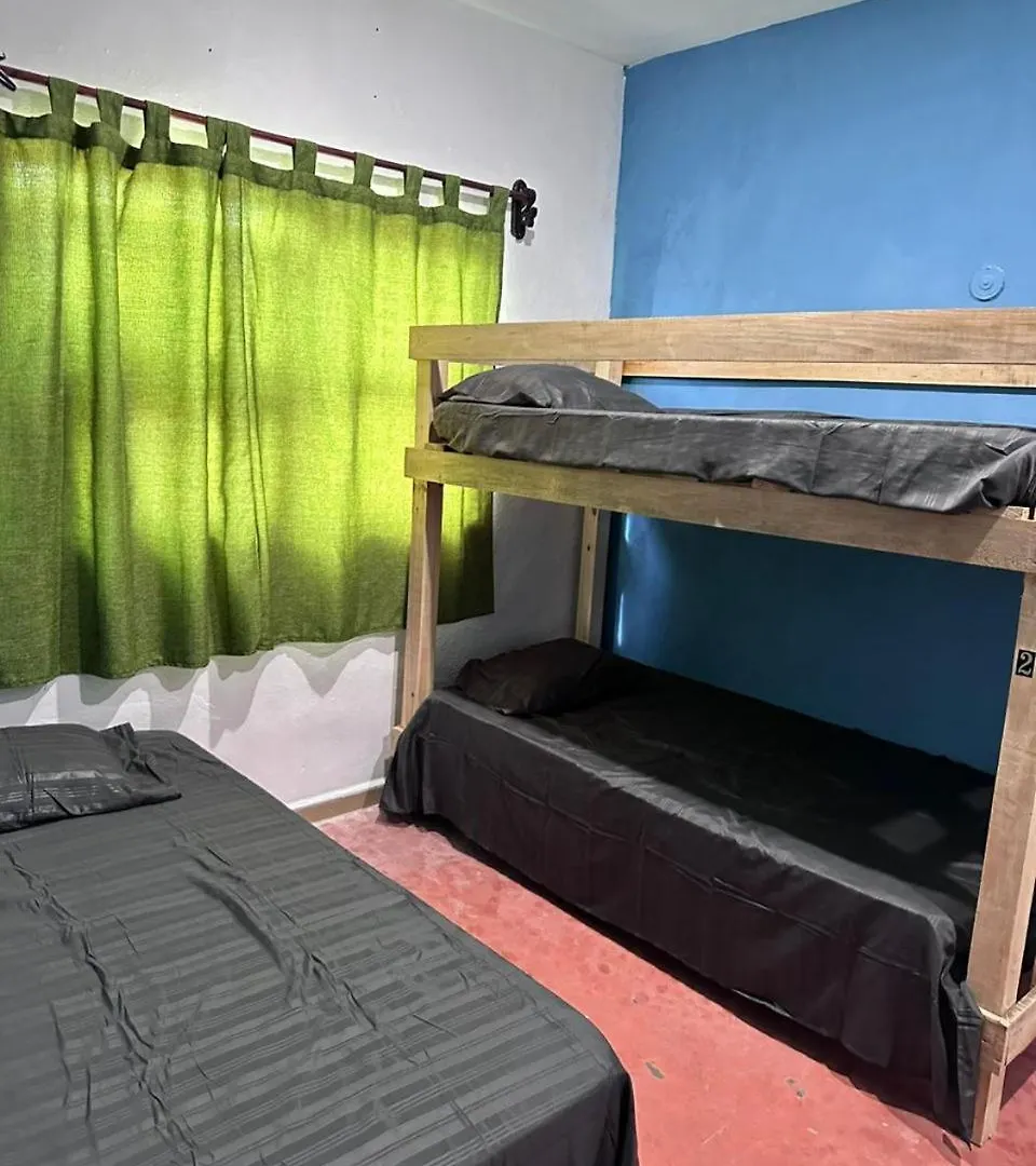 招待所 Hostal La 5Ta Avenida 普拉亚卡门
