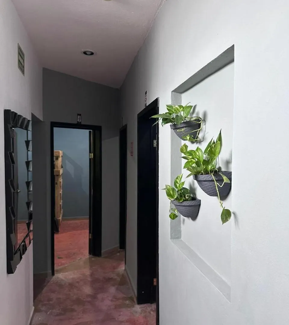 Hostal La 5Ta Avenida Πλάγια Ντελ Κάρμεν 0*,